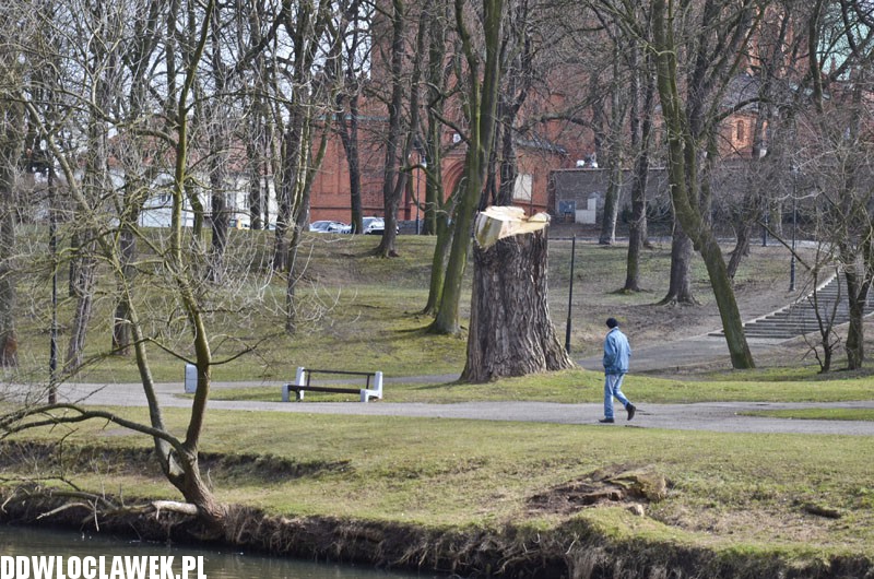 Park Sienkiewicza ma 145 lat