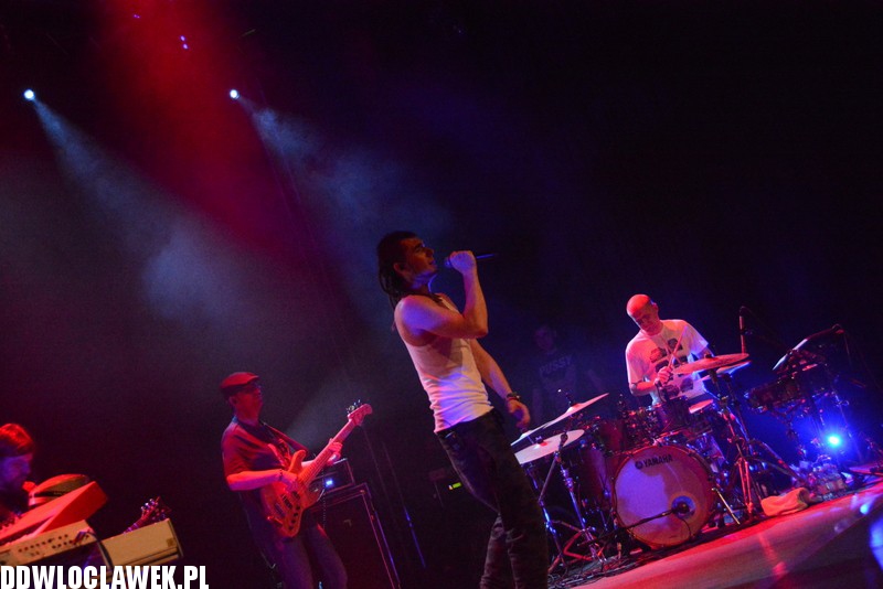 Kamil Bednarek w Browarze B
