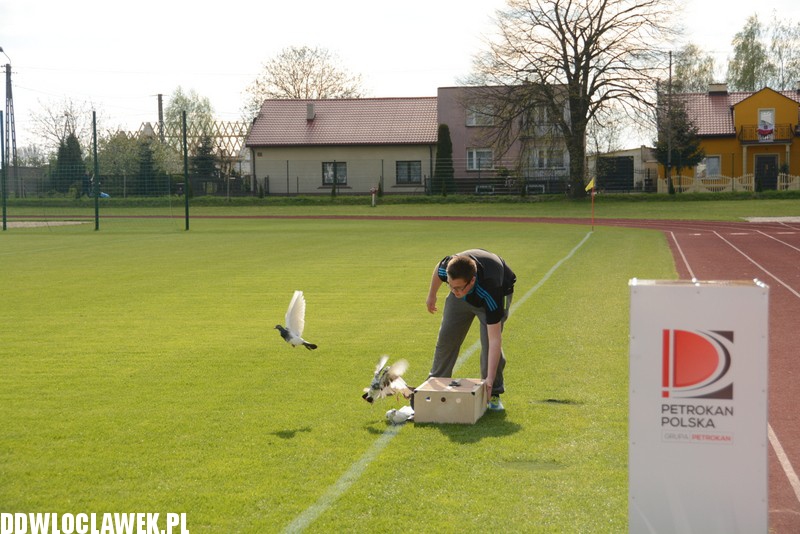 Patriotyczna oprawa meczu Łokietka