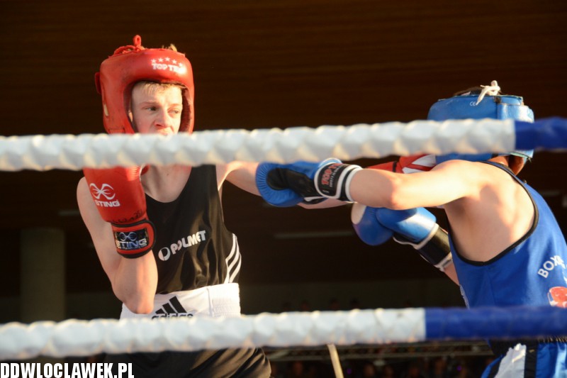 Włocławski Boxing Show