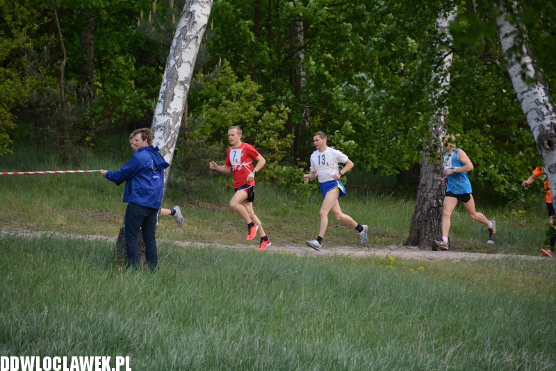 Vladislavia Cross na Zawiślu