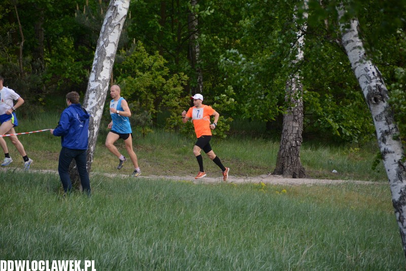Vladislavia Cross na Zawiślu