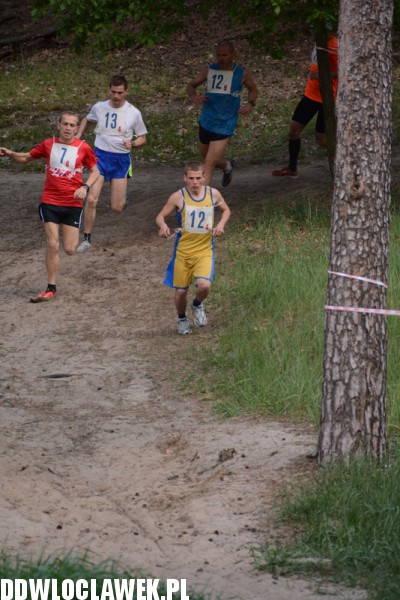 Vladislavia Cross na Zawiślu