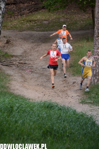 Vladislavia Cross na Zawiślu