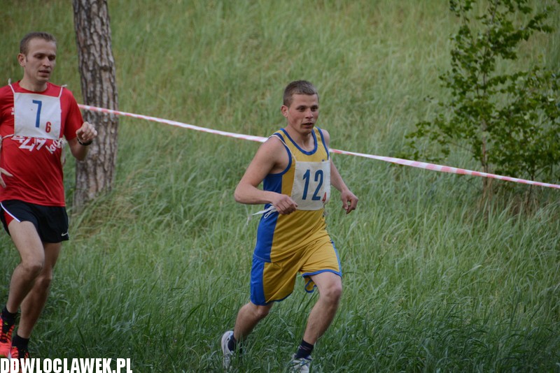 Vladislavia Cross na Zawiślu