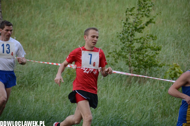 Vladislavia Cross na Zawiślu