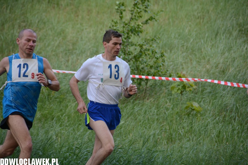 Vladislavia Cross na Zawiślu