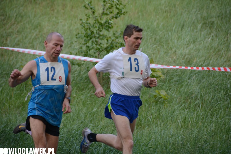 Vladislavia Cross na Zawiślu