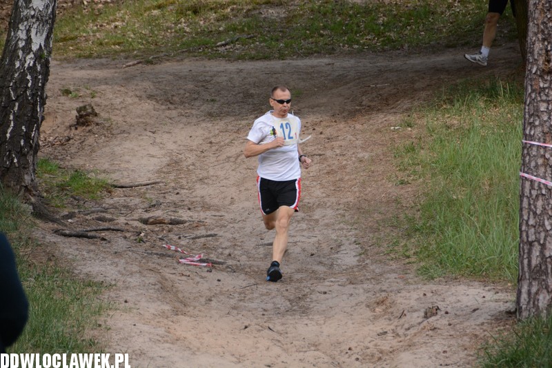Vladislavia Cross na Zawiślu