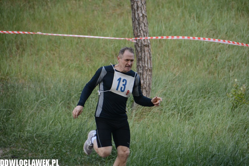 Vladislavia Cross na Zawiślu