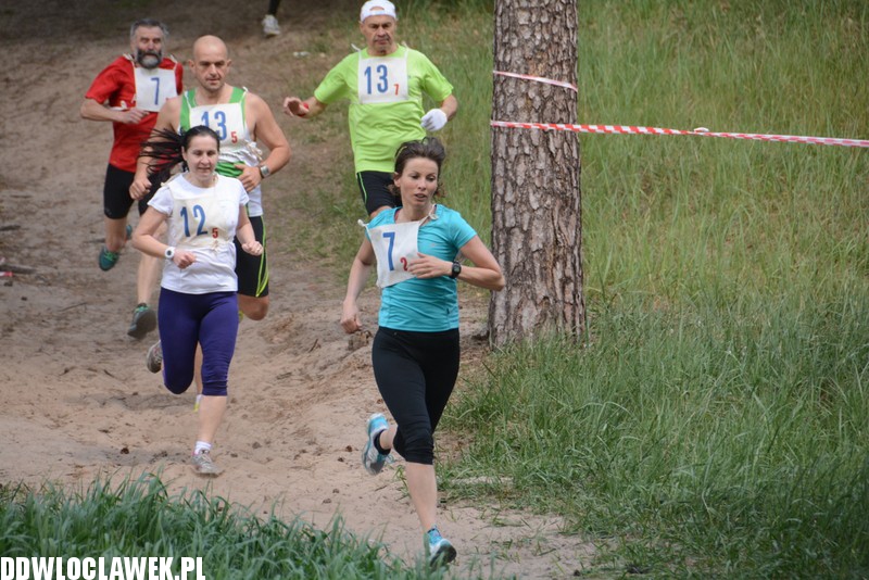Vladislavia Cross na Zawiślu