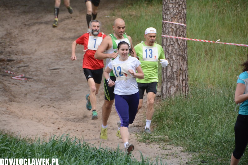 Vladislavia Cross na Zawiślu
