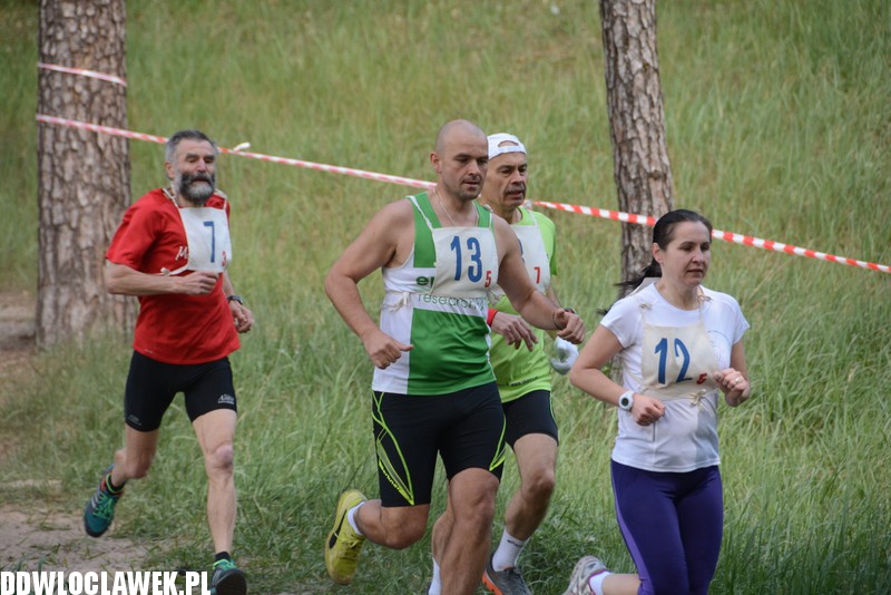 Vladislavia Cross na Zawiślu