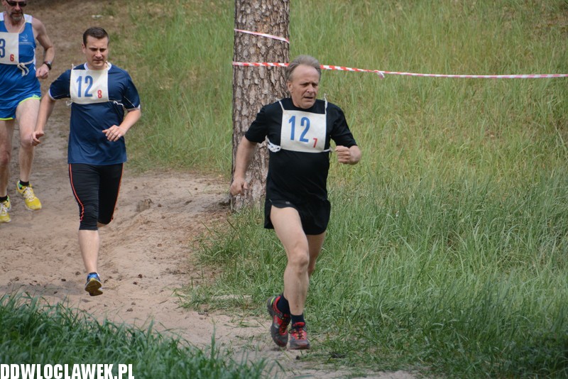 Vladislavia Cross na Zawiślu