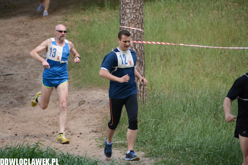 Vladislavia Cross na Zawiślu