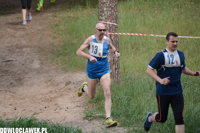 Vladislavia Cross na Zawiślu