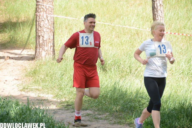 Vladislavia Cross na Zawiślu
