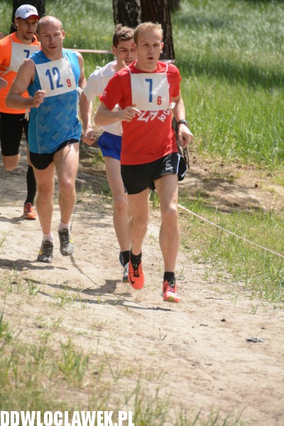 Vladislavia Cross na Zawiślu