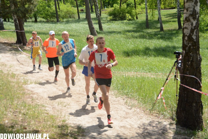 Vladislavia Cross na Zawiślu