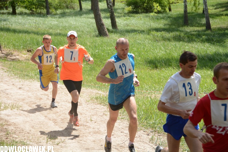 Vladislavia Cross na Zawiślu