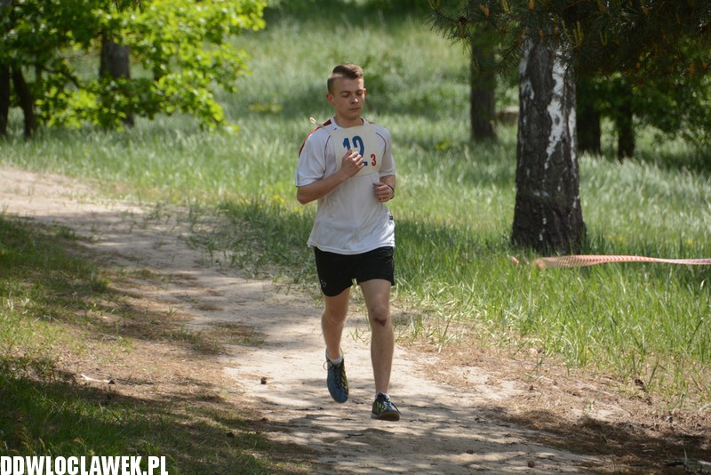 Vladislavia Cross na Zawiślu