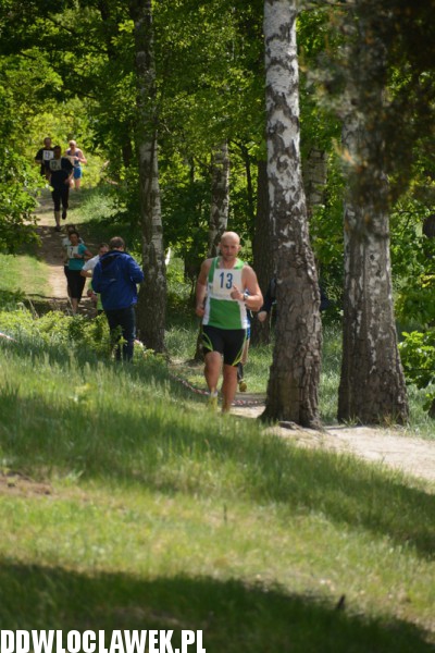 Vladislavia Cross na Zawiślu
