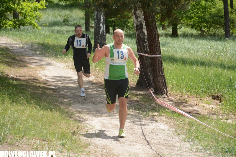 Vladislavia Cross na Zawiślu