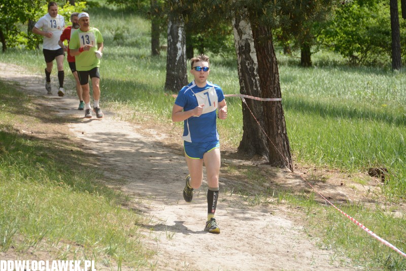 Vladislavia Cross na Zawiślu