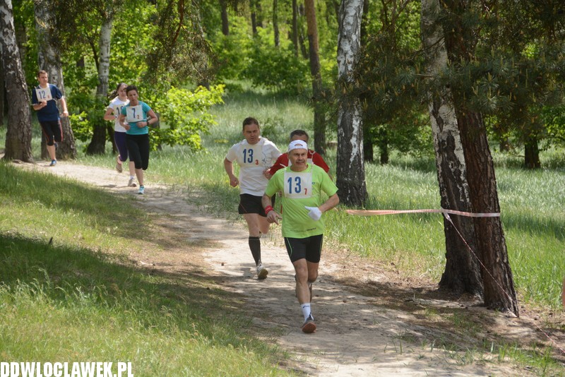 Vladislavia Cross na Zawiślu