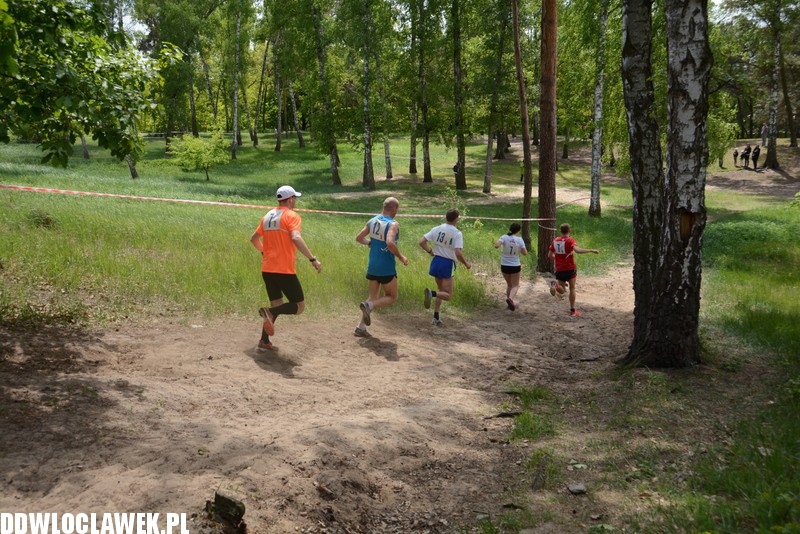 Vladislavia Cross na Zawiślu