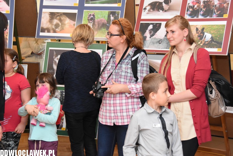 Wystawa fotografii amatorskiej