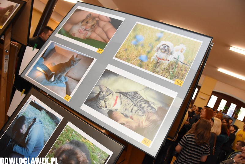Wystawa fotografii amatorskiej