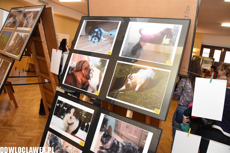 Wystawa fotografii amatorskiej