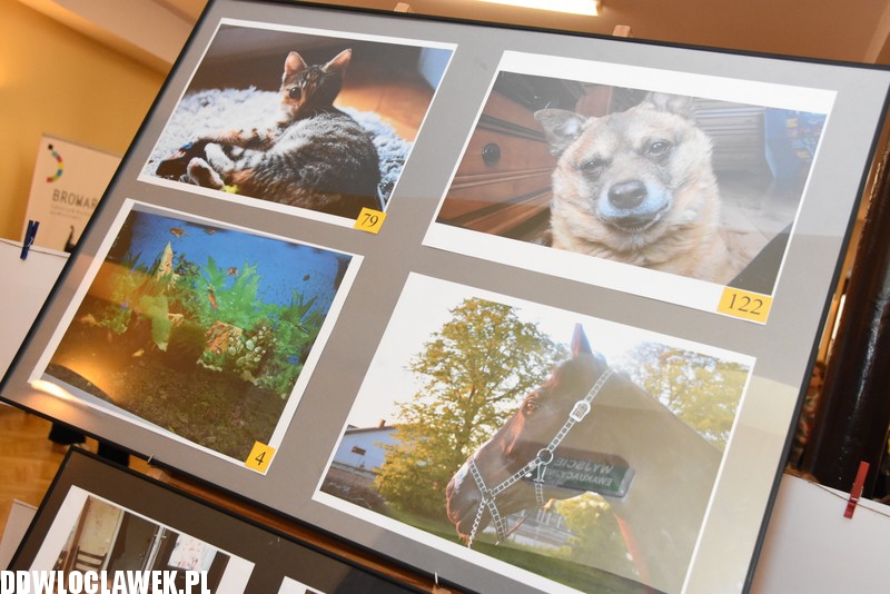 Wystawa fotografii amatorskiej