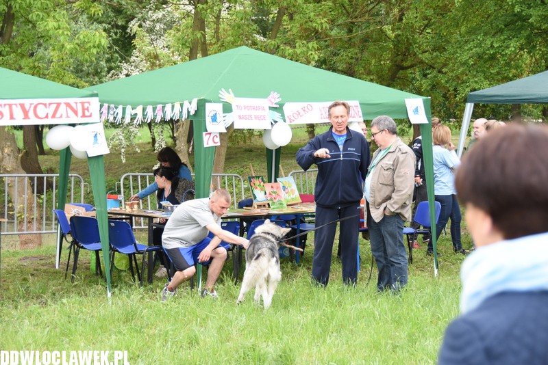 Piknik rodzinny przy basenie