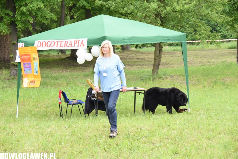 Piknik rodzinny przy basenie