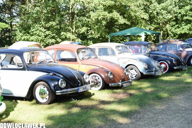 Zlot zabytkowych Volkswagenów