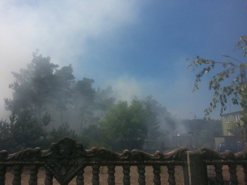 Pożar lasu w Pińczacie