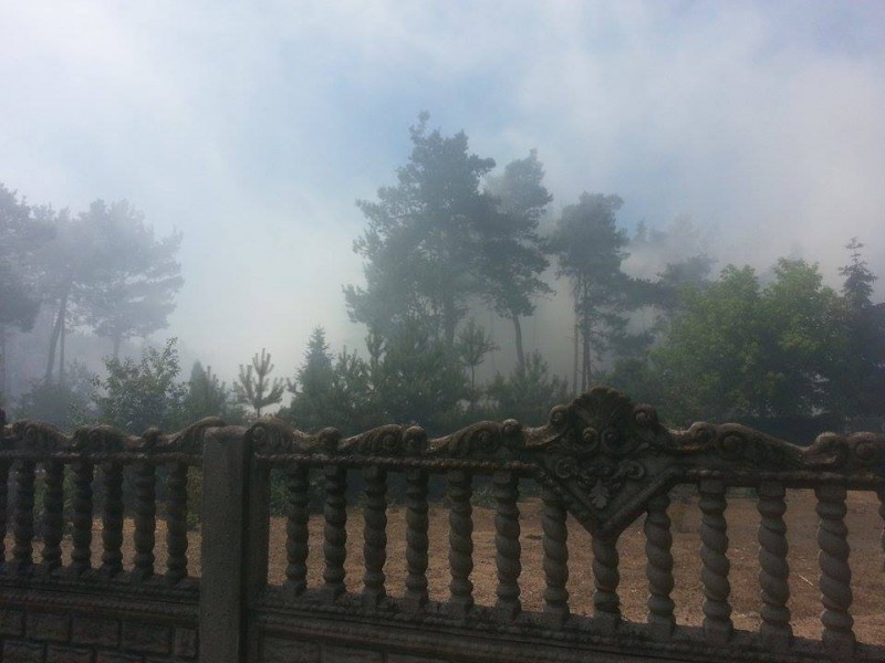 Pożar lasu w Pińczacie
