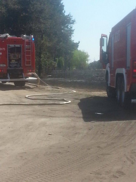Pożar lasu w Pińczacie