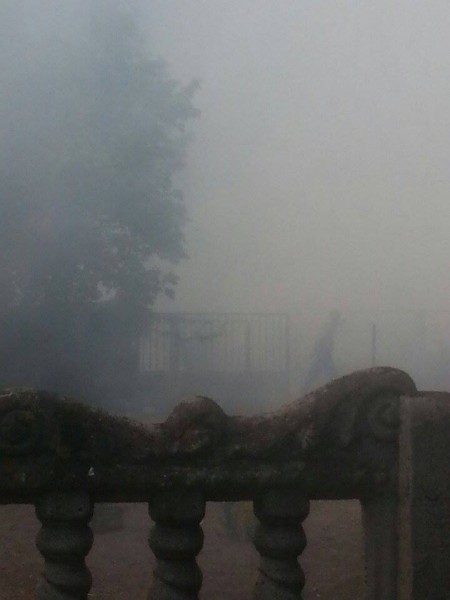 Pożar lasu w Pińczacie