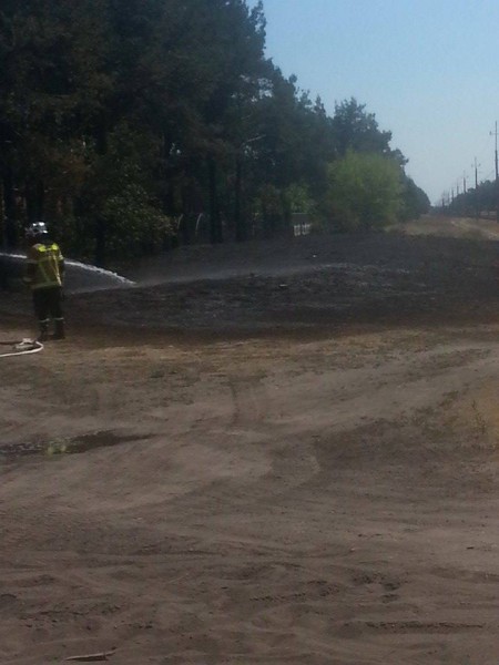 Pożar lasu w Pińczacie