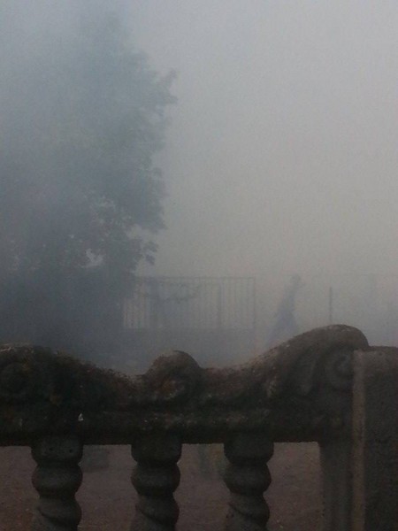 Pożar lasu w Pińczacie