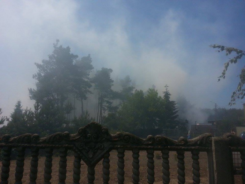 Pożar lasu w Pińczacie