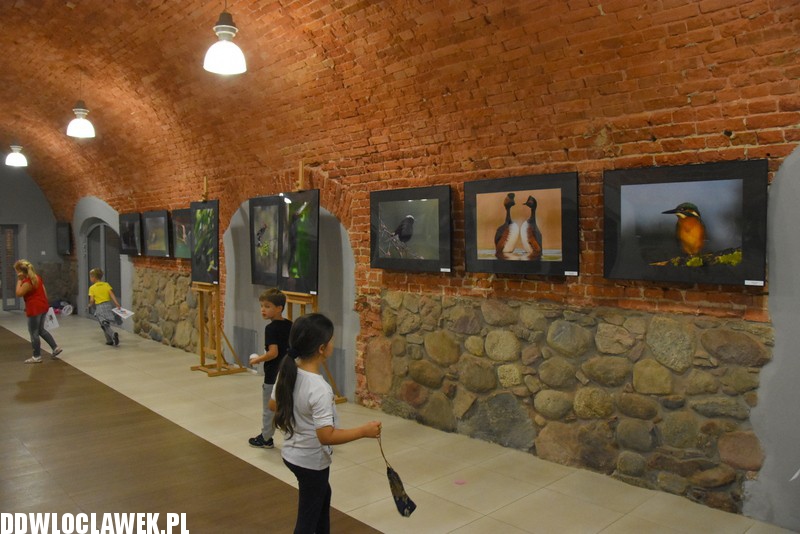 Przyrodnicze fascynacje w galerii Migawka