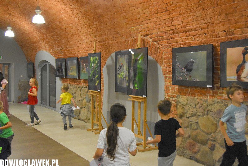 Przyrodnicze fascynacje w galerii Migawka