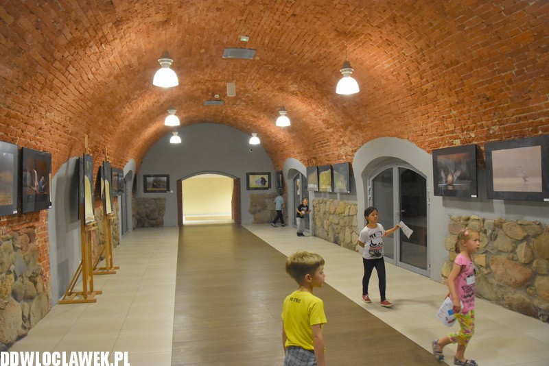 Przyrodnicze fascynacje w galerii Migawka