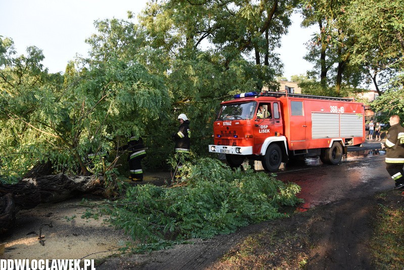 Drzewo zablokowało ulicę Grodzką