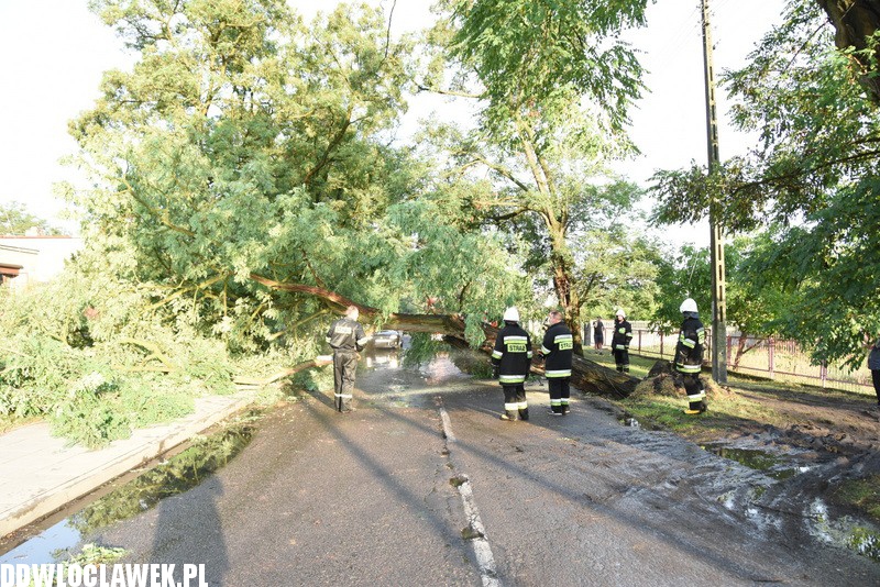 Drzewo zablokowało ulicę Grodzką