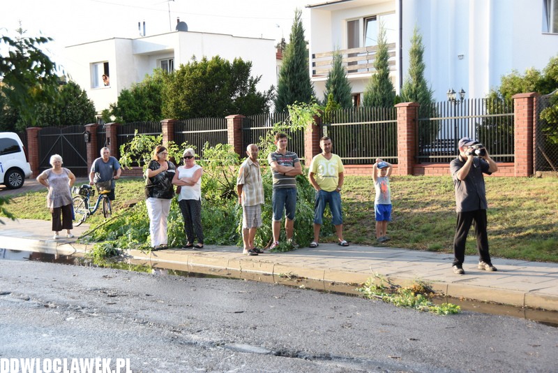 Drzewo zablokowało ulicę Grodzką